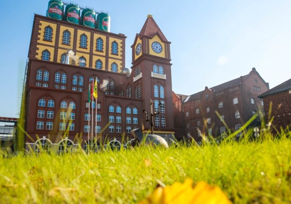 科元网  解码百年青啤：引领行业历久弥新的秘笈是什么？