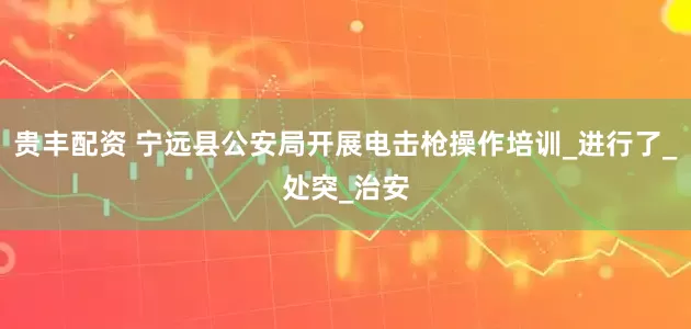 贵丰配资 宁远县公安局开展电击枪操作培训_进行了_处突_治安