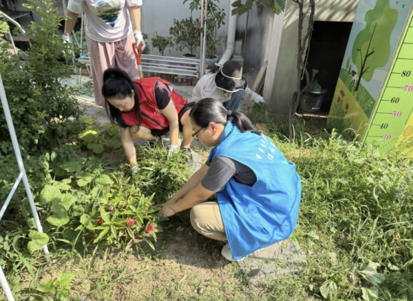 散户配资 清除杂草美化环境, 共建宜居家园