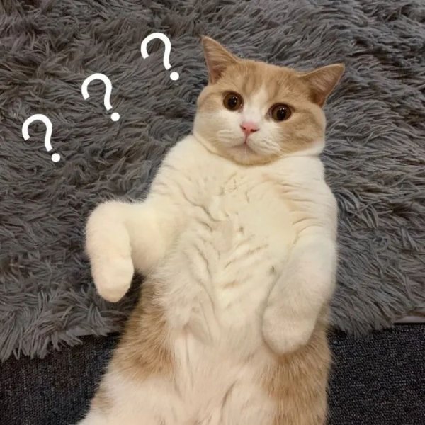 京海策略 开学日或迎新台风！明起广州天气有变，一波雨水上线……