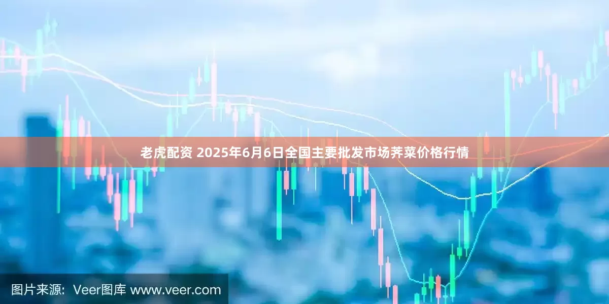 老虎配资 2025年6月6日全国主要批发市场荠菜价格行情